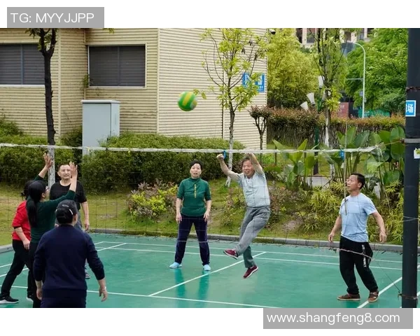 重庆排球队技术表现分析与提升策略探讨