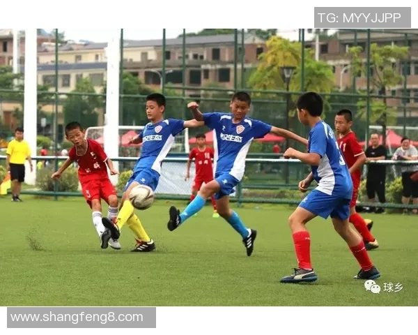 高坪足球:传承与创新并存的地方足球文化发展之路 高坪足球:传承与创新并存的地方足球文化发展之路