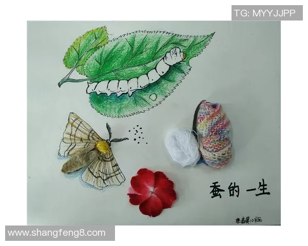 从茧中破茧而出天下足球的蜕变与成长之路 从茧中破茧而出天下足球的蜕变与成长之路