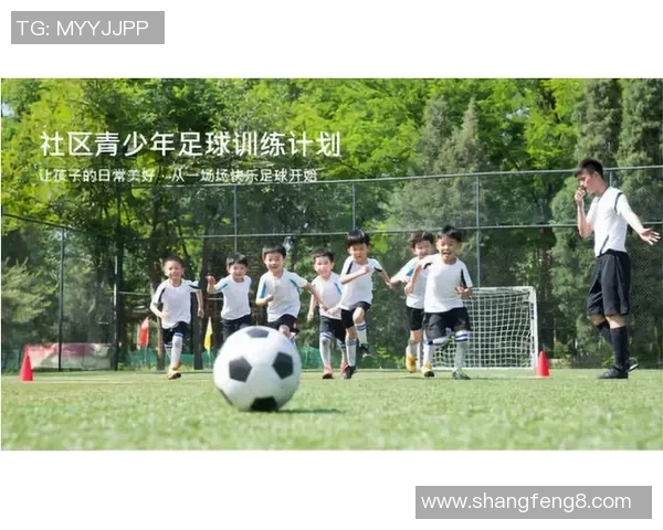 学足球的潜在危害与青少年身心健康的关系探讨