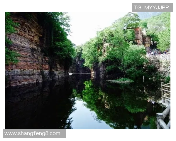 攀登人生的每一步:刘芳与深度对话的攀岩故事 攀登人生的每一步:刘芳与深度对话的攀岩故事