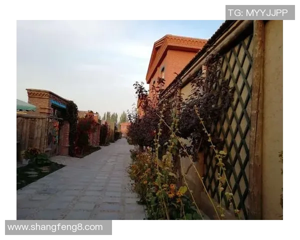 特克斯足球的崛起与发展探索球队文化与社区影响力的深度结合 特克斯足球的崛起与发展探索球队文化与社区影响力的深度结合