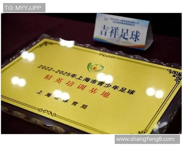 芜湖足球班：培养未来足球明星的摇篮与梦想启航地