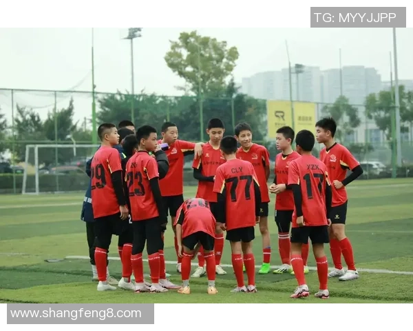 足球赛的激情瞬间与球场上的梦想交织成的美丽画卷 足球赛的激情瞬间与球场上的梦想交织成的美丽画卷