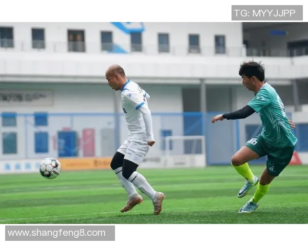 足球斗球激战正酣球迷热情高涨赛事精彩纷呈引爆全场热血沸腾 足球斗球激战正酣球迷热情高涨赛事精彩纷呈引爆全场热血沸腾