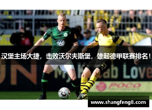 汉堡主场大捷，击败沃尔夫斯堡，雄起德甲联赛排名！