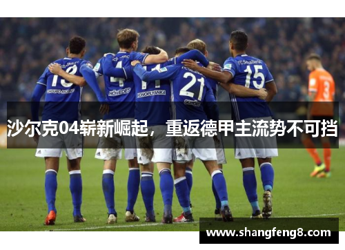 沙尔克04崭新崛起，重返德甲主流势不可挡