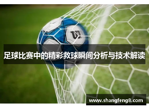 足球比赛中的精彩救球瞬间分析与技术解读
