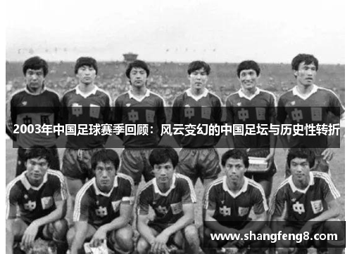 2003年中国足球赛季回顾：风云变幻的中国足坛与历史性转折