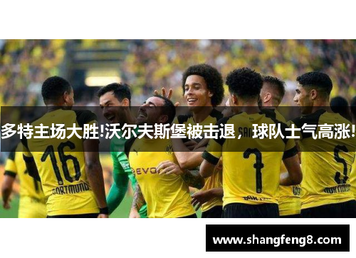 多特主场大胜!沃尔夫斯堡被击退，球队士气高涨!