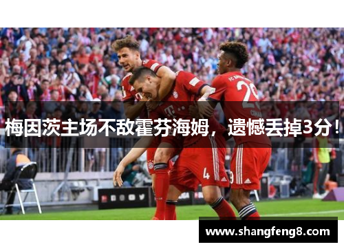梅因茨主场不敌霍芬海姆，遗憾丢掉3分！