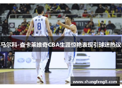 马尔科-查卡莱维奇CBA生涯惊艳表现引球迷热议