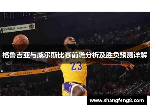 格鲁吉亚与威尔斯比赛前瞻分析及胜负预测详解