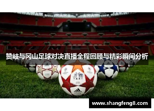 赞岐与冈山足球对决直播全程回顾与精彩瞬间分析